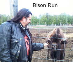 Bison Run June 2012