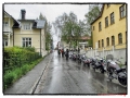 05_2015-06-06_Snapseed-kopiera