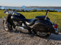 Ghost - Suzuki VL800 Volusia Limited Edition - 2003