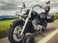 Hook - Honda vt750C4 Shadow - 2005